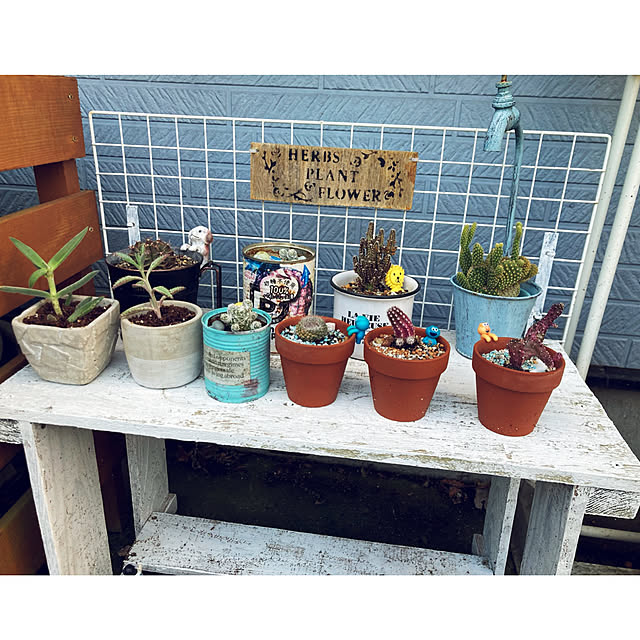 CoCo0617さんの部屋