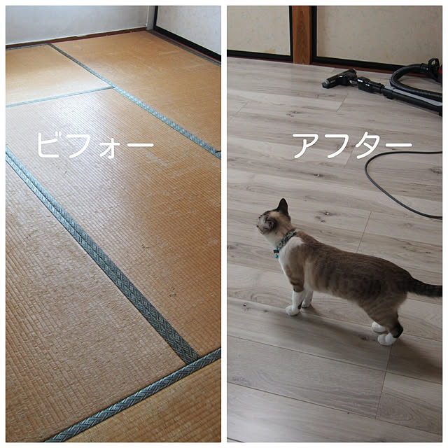 sakuracoco426さんの実例写真