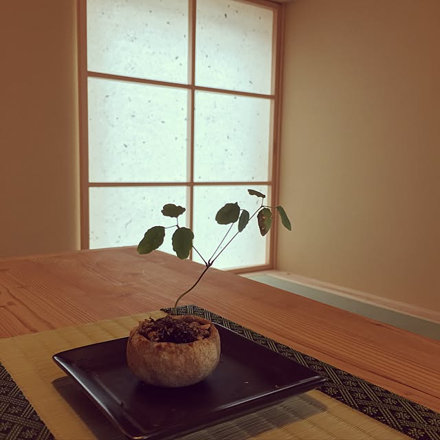 机/シーエッチ建築工房/杉/珪藻土/観葉植物...などのインテリア実例 - 2016-09-15 18:44:56