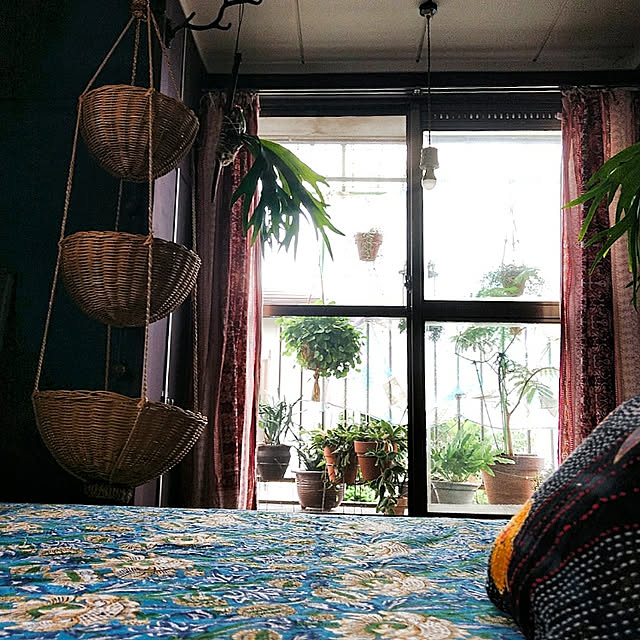 nikkoriさんの実例写真