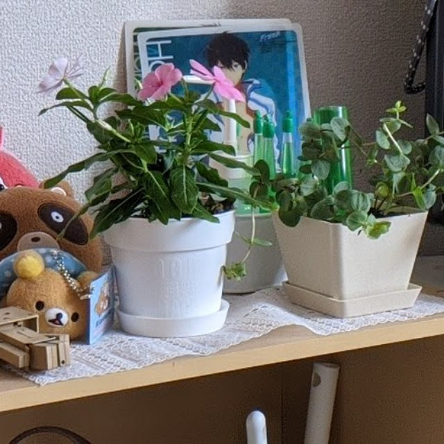 kuroneko.sonotanさんの実例写真