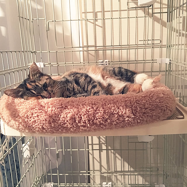 vino0414さんの実例写真