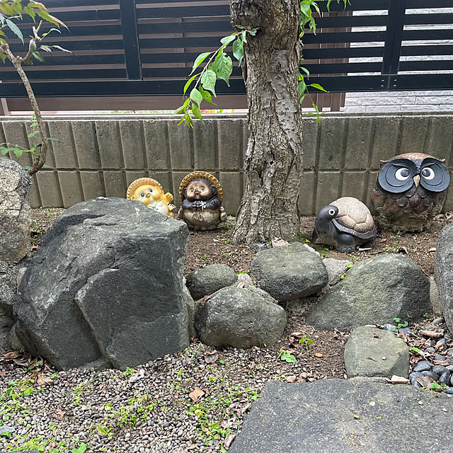 kuikoさんの部屋