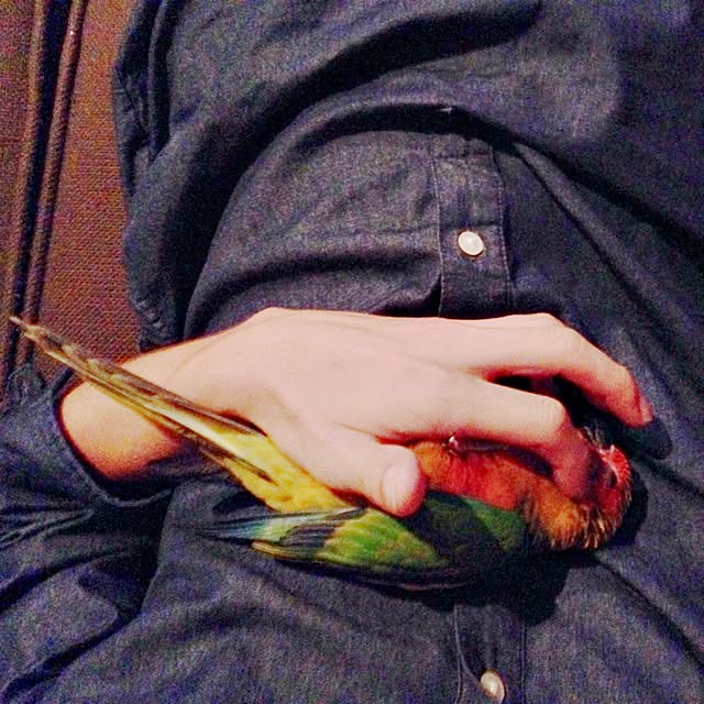 Atsushiさんの実例写真