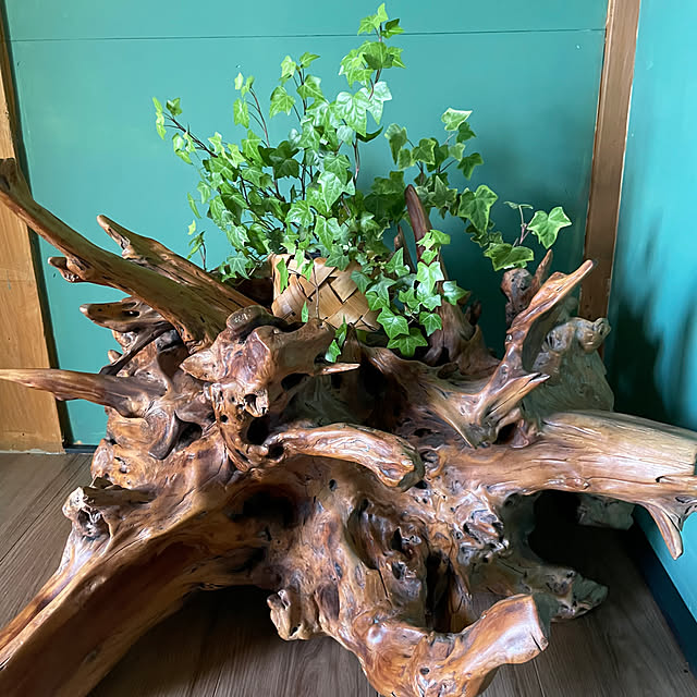 sachiさんの部屋