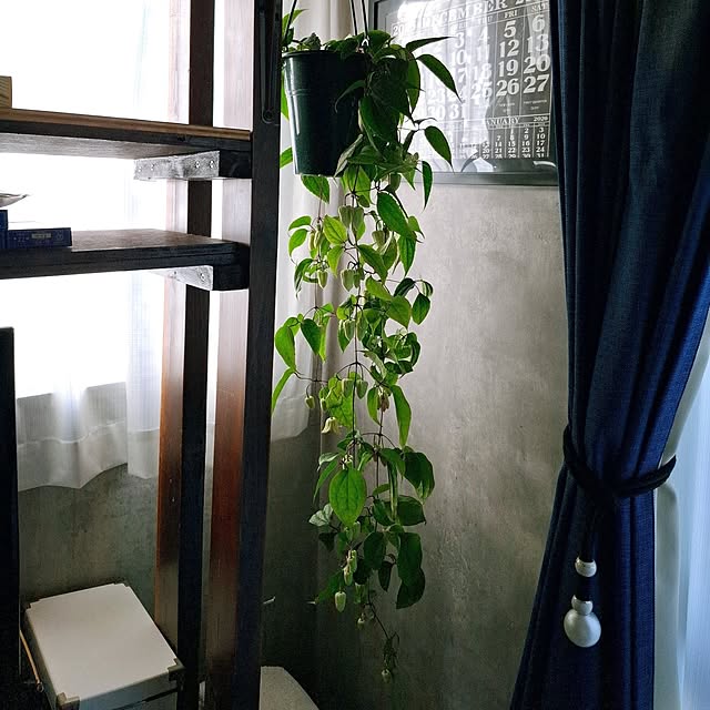 noaさんの実例写真