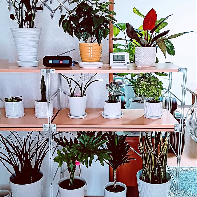 hanachanさんの部屋