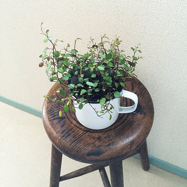 maroさんの実例写真
