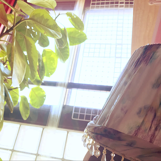 kimishigureさんの実例写真