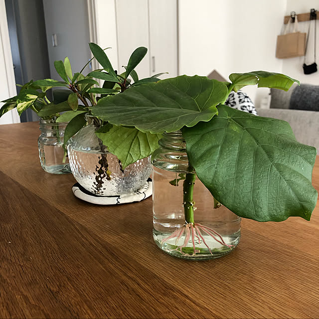 cocoaさんの実例写真