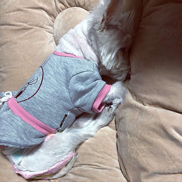 Bikkeさんの実例写真