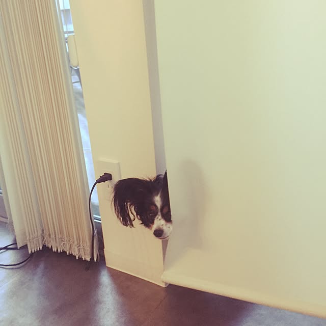kanonさんの実例写真