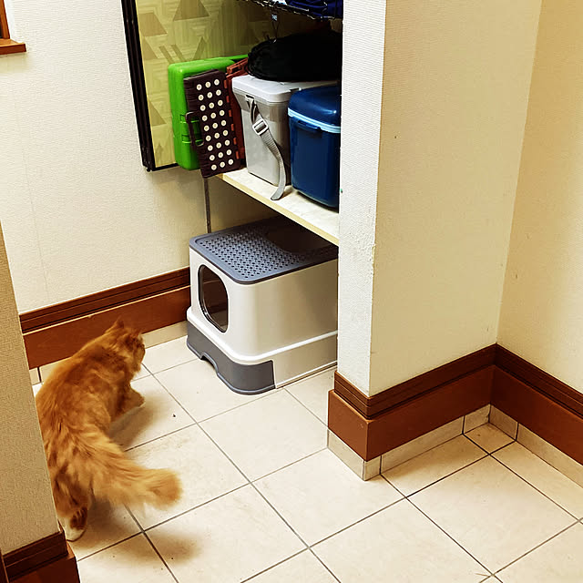 satoraさんの実例写真