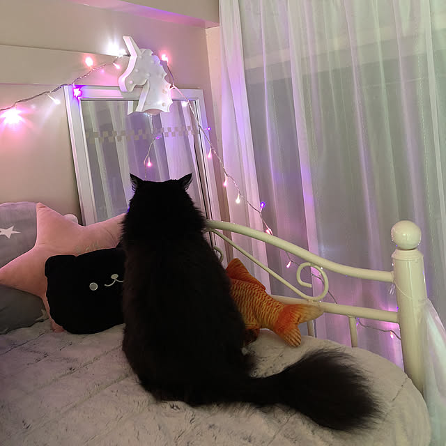 kanaさんの実例写真