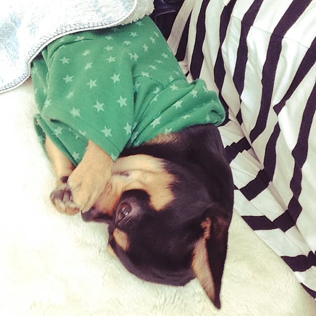 yokkoさんの実例写真