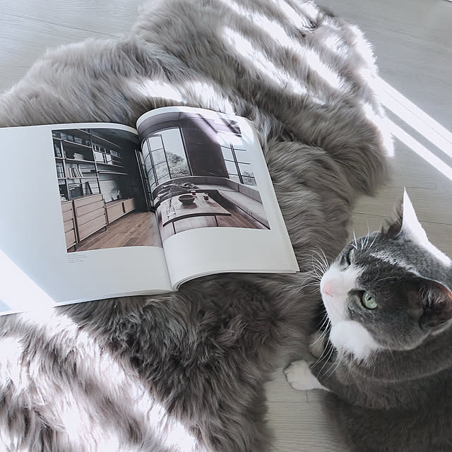 ch172さんの実例写真