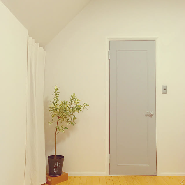nagnagさんの実例写真