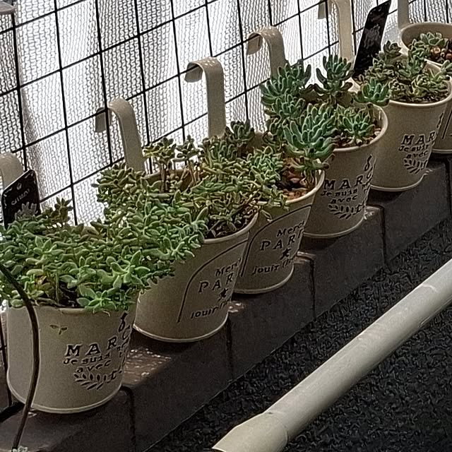noaさんの部屋