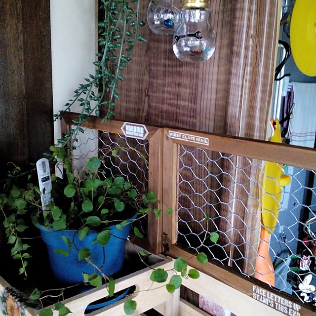 snoo.py.8198871さんの実例写真