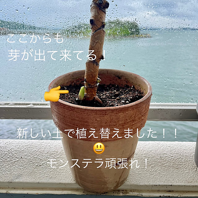 amさんの部屋