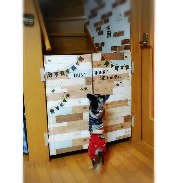 koyuki-111さんの実例写真