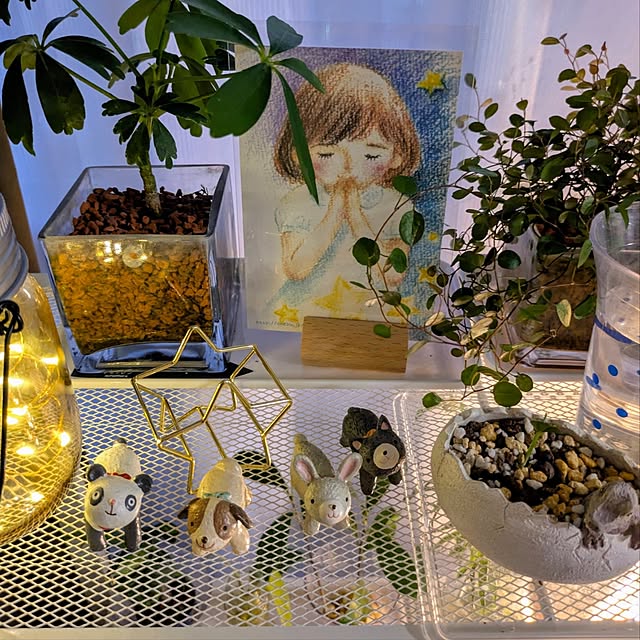 mi-saさんの実例写真