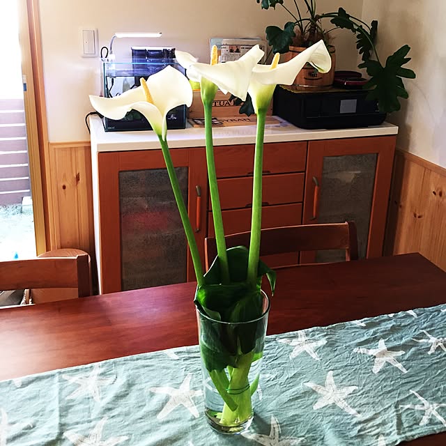 tomoさんの実例写真