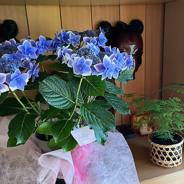 mary_loveさんの部屋