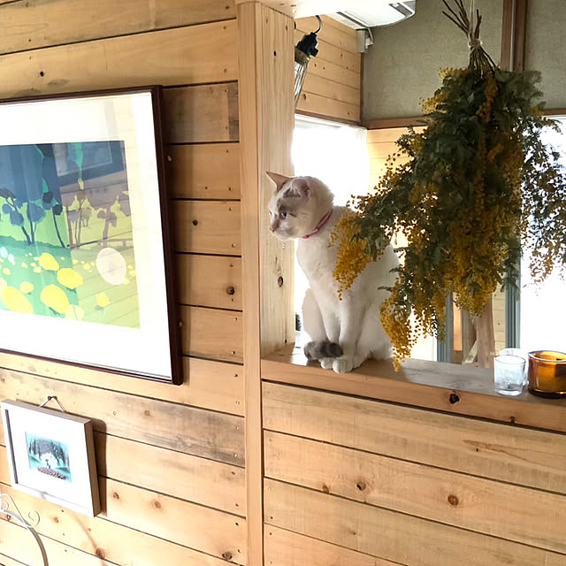 花のある暮らし/楽器のある部屋/グランドピアノがある部屋/玄関/入り口のインテリア実例 - 2023-05-22 16:17:24