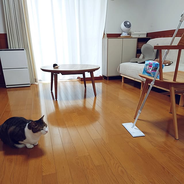 nachiさんの実例写真