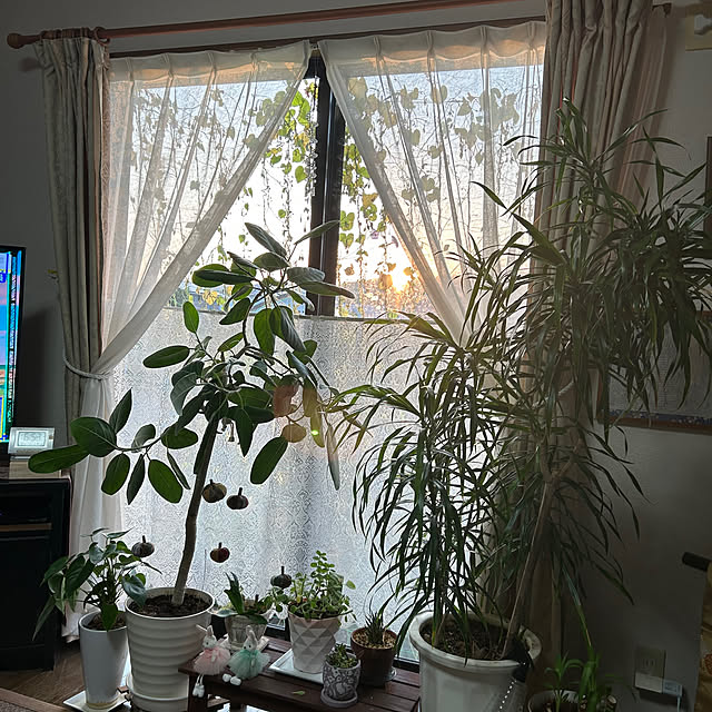 ritsukoさんの部屋