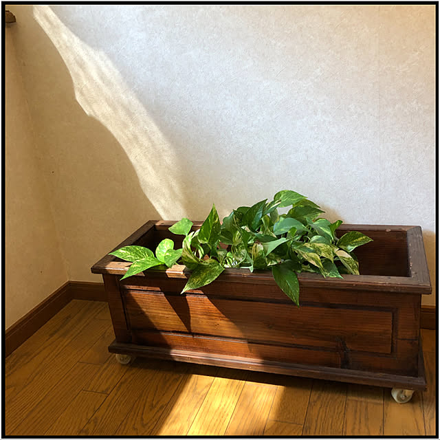 mamizaさんの実例写真