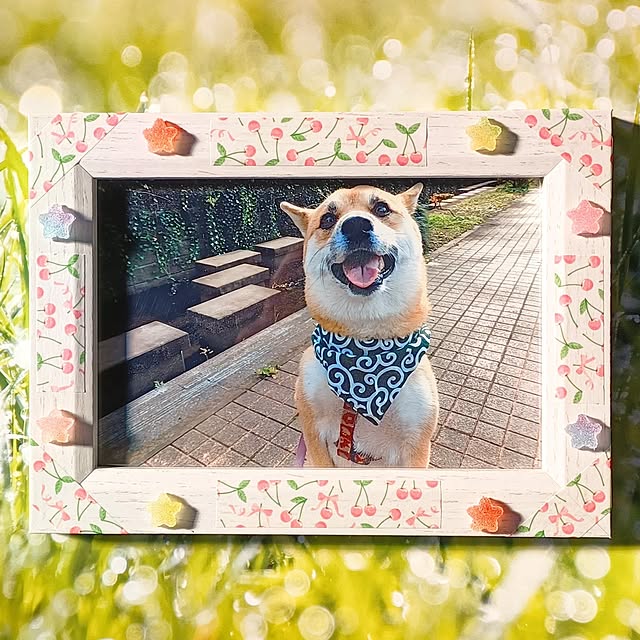 nanaさんの実例写真