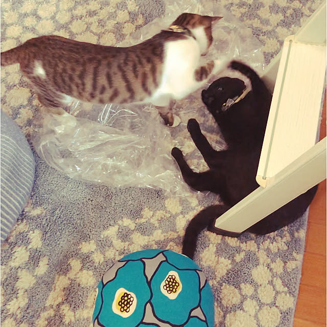 jijiさんの実例写真