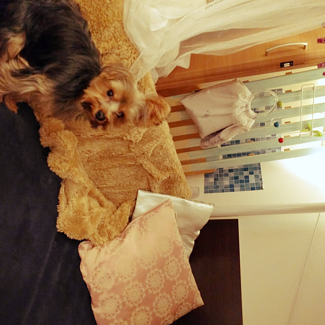 keikomokonさんの実例写真