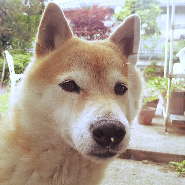 YUKKIさんの実例写真