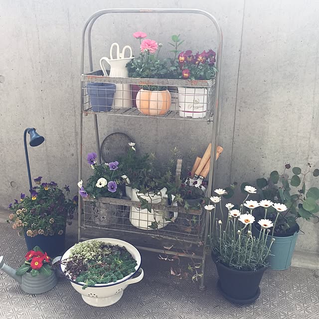 roomさんの実例写真