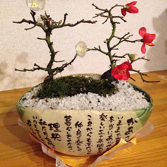 Kyokoさんの実例写真