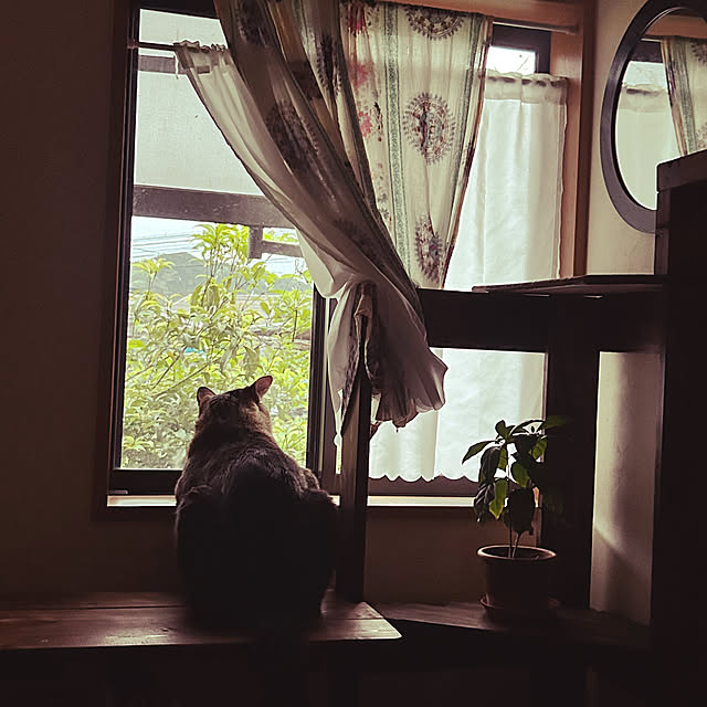 mikan161さんの実例写真