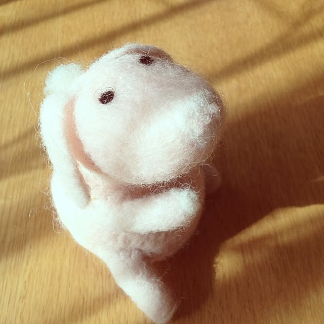 dicekbeetleさんの実例写真