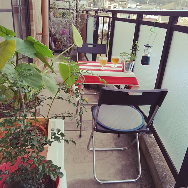 myu06さんの実例写真
