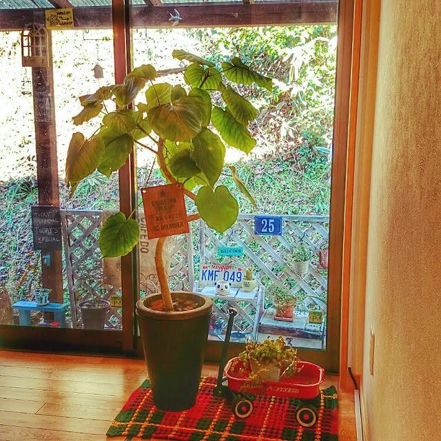koppeさんの実例写真
