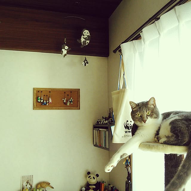 lovepandaさんの実例写真