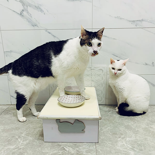 pcu110さんの実例写真
