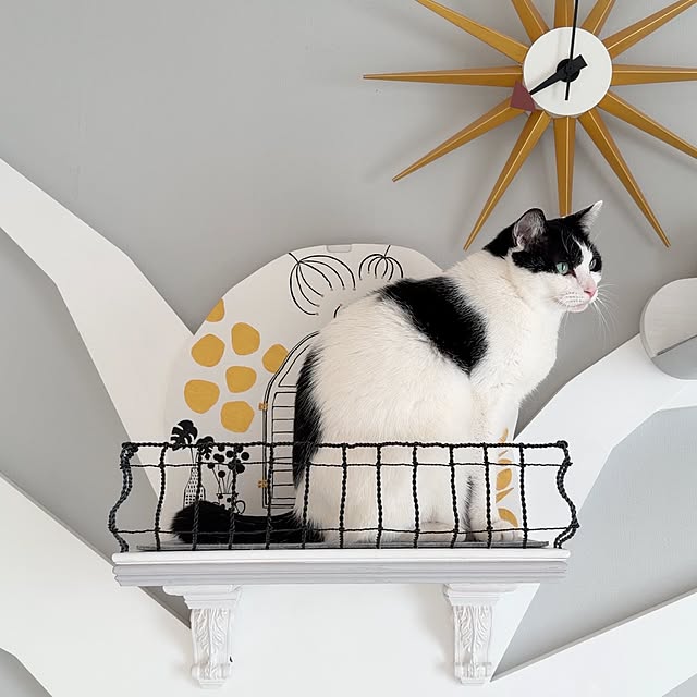 mjket.mysaさんの実例写真