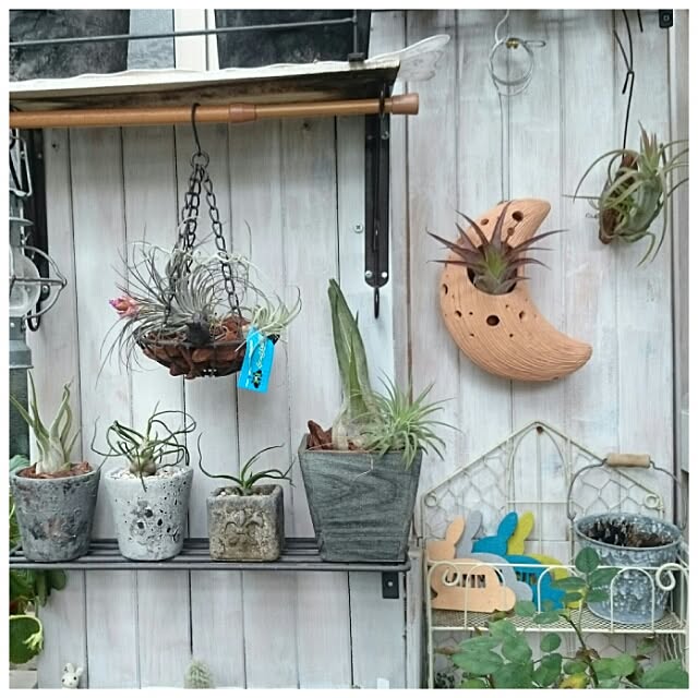akkoさんの実例写真