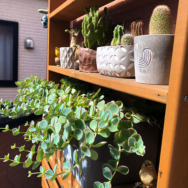 CoffeeHouseさんの部屋