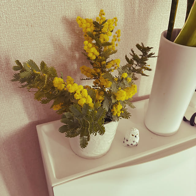 haruharu3さんの実例写真