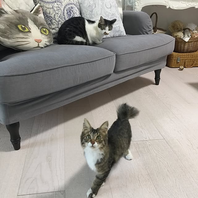 yuchiさんの実例写真