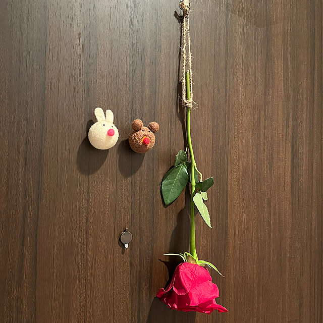 akaneさんの実例写真